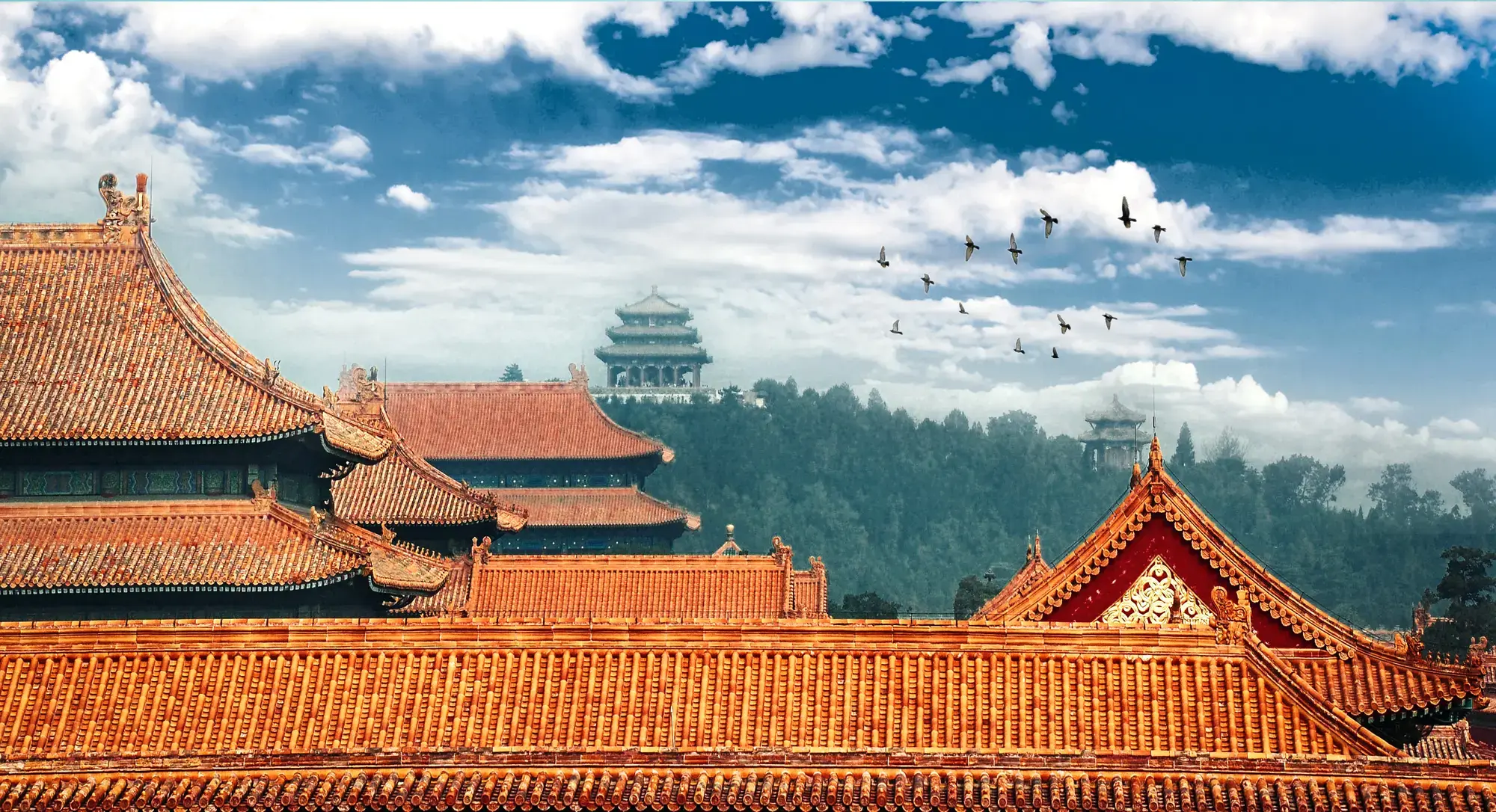 道达尔能源在中国