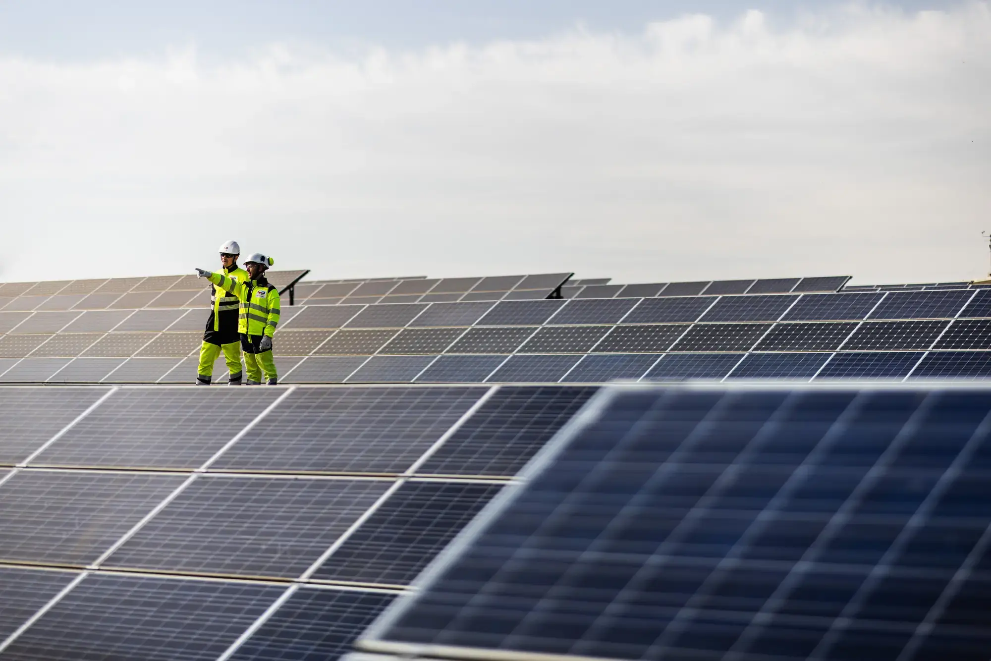 TotalEnergies Renewables Services Italia srl Solar Field, Italy
