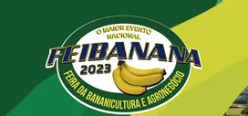 Feibanana