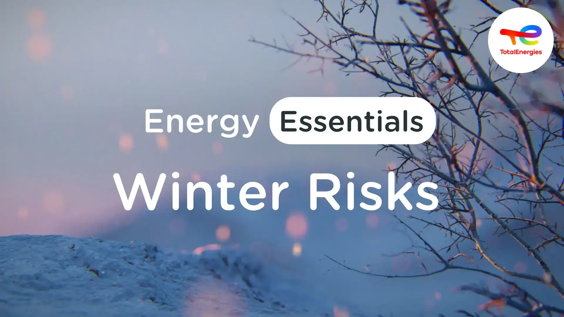 Energy Management Team | TotalEnergies Gas & Power