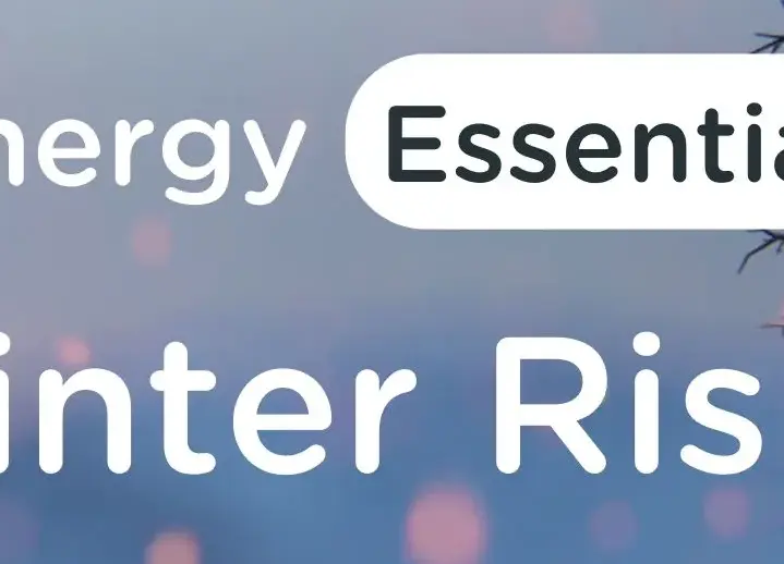 Energy Management Team | TotalEnergies Gas & Power