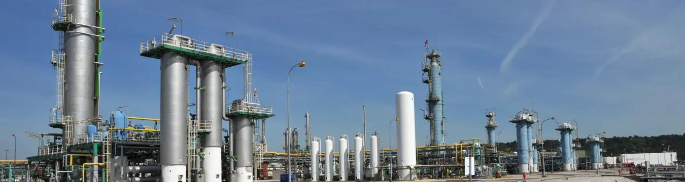 oudalle plant