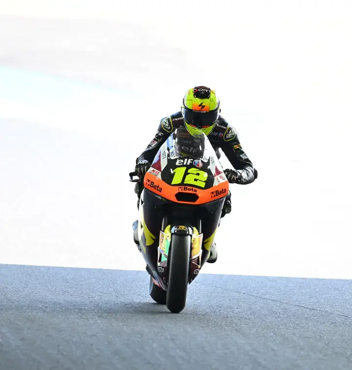 marc vds text hintergrund