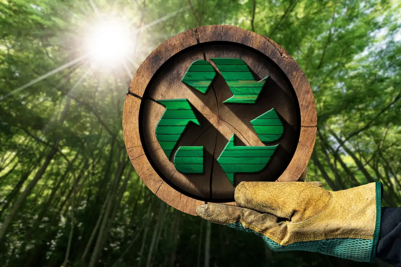 Biomassa HVO100 recycling.jpg
