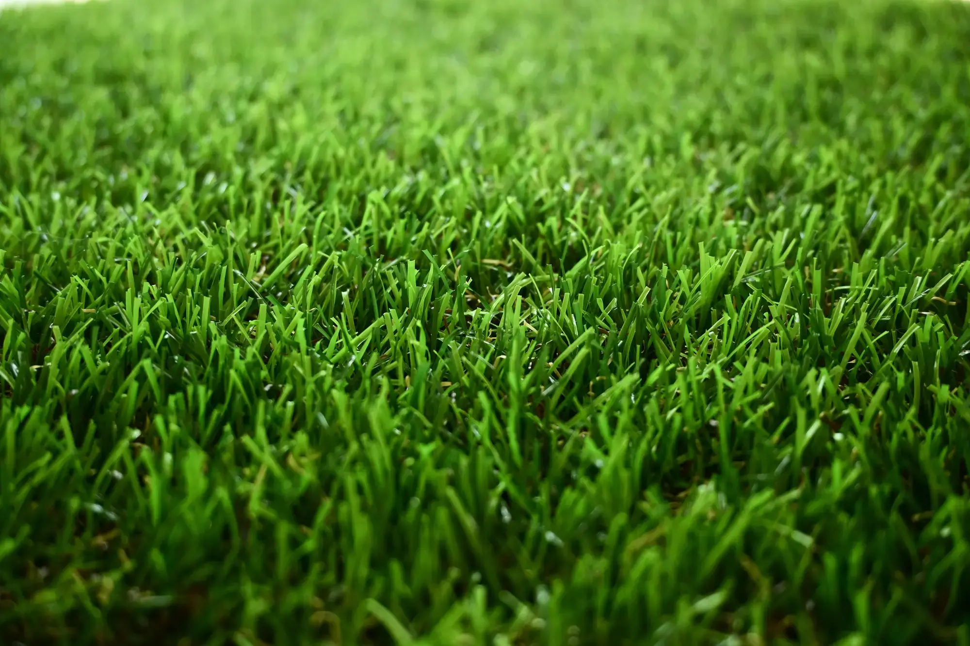 Artificial Grass