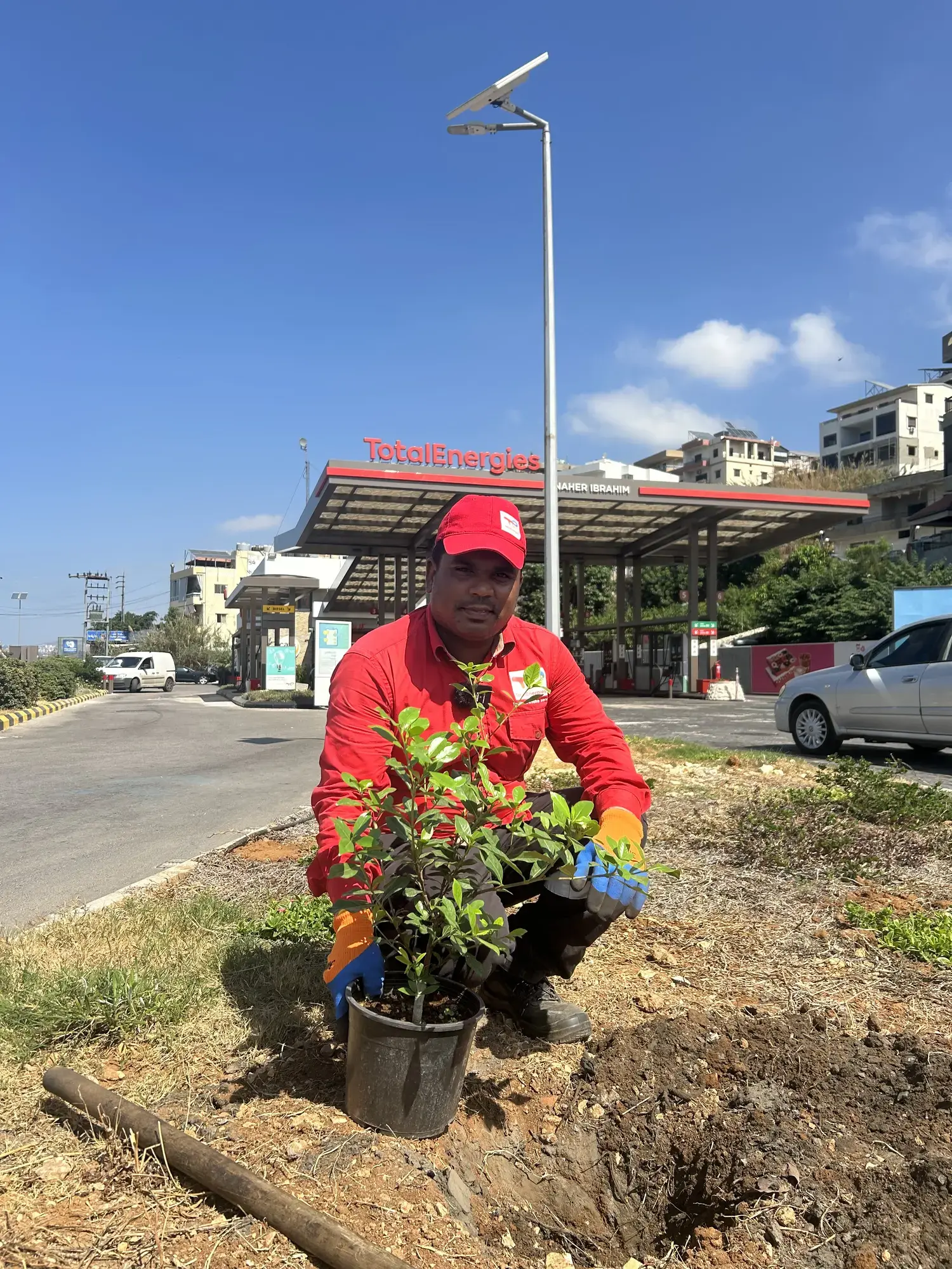 Plantation Project 2025