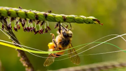 Gestion Social TEPBO 2023