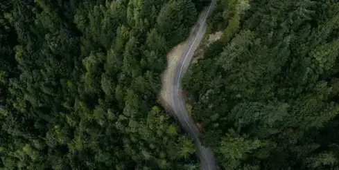 wood-paper-production-2-585x294-jpeg