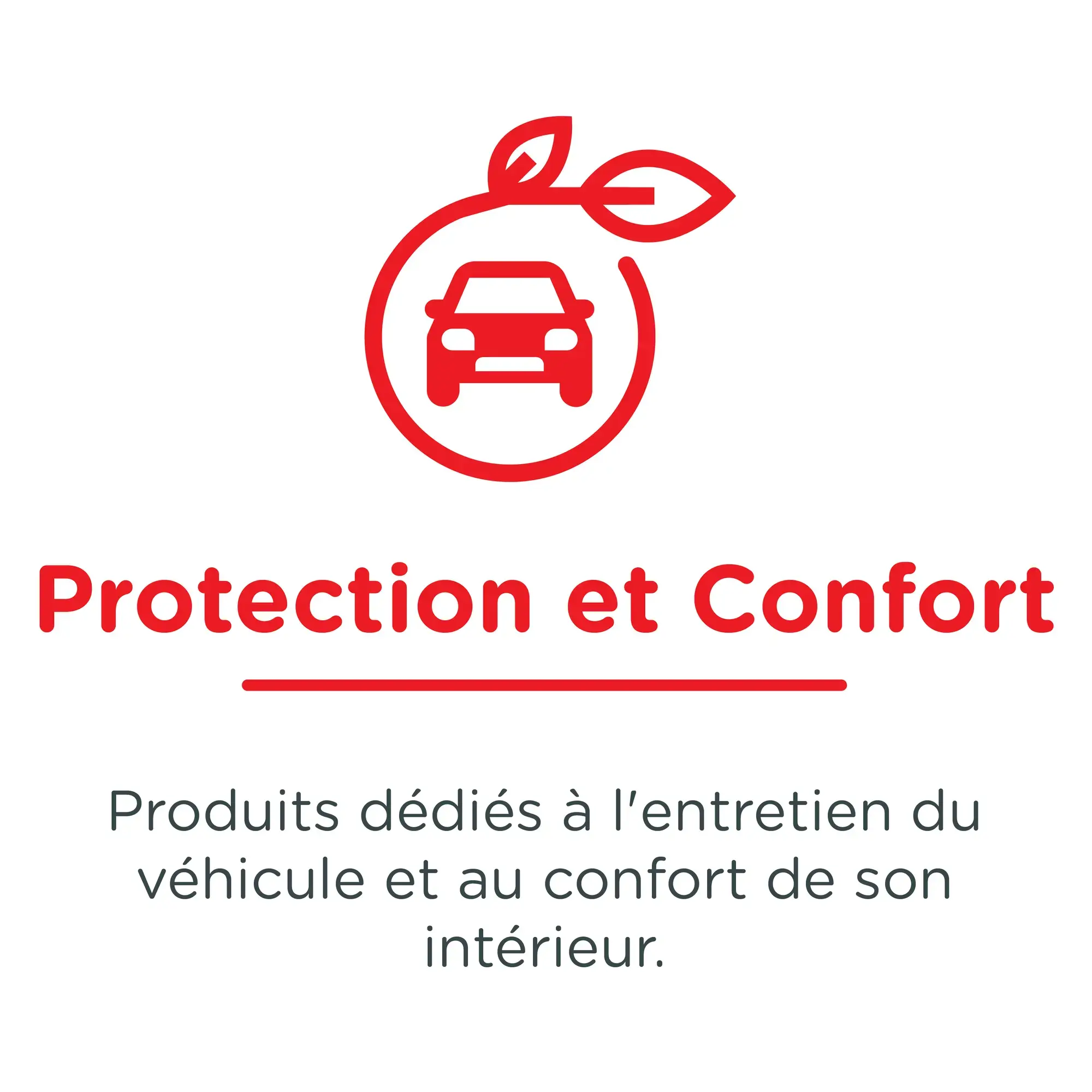 Protection and Comfort