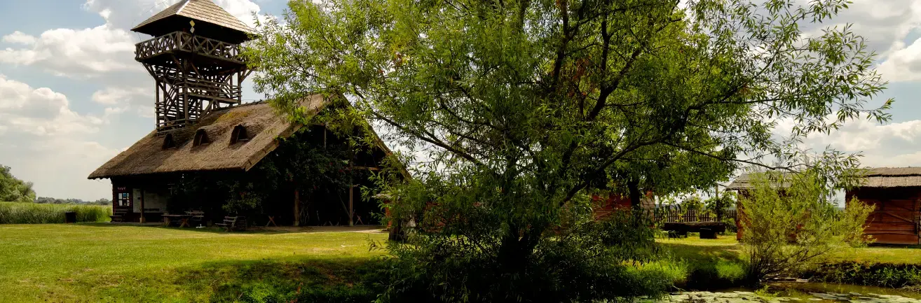 Auto Hospital, Bogatić