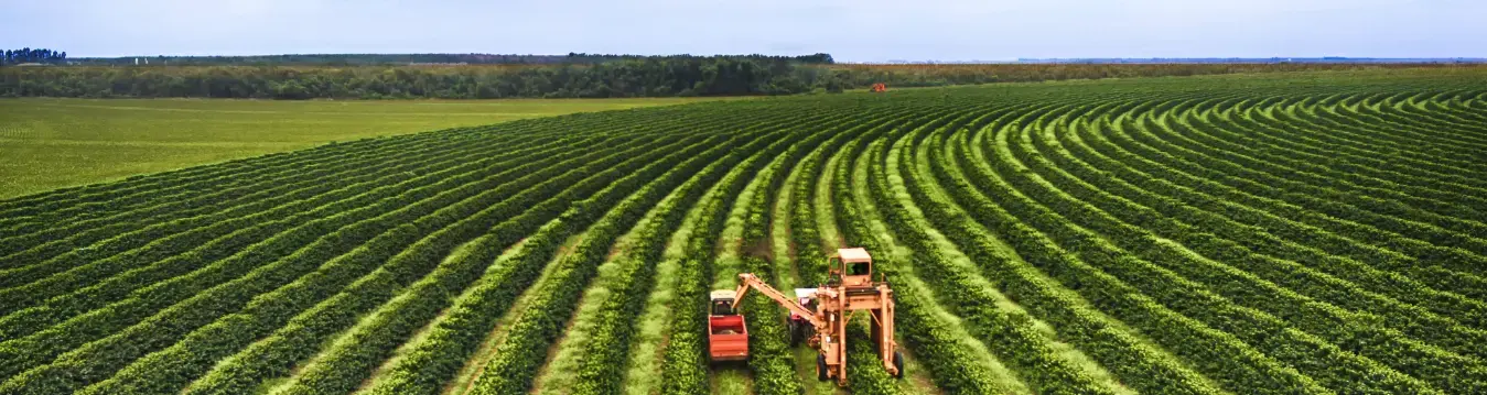 Lubrifianti Agricultura - cover