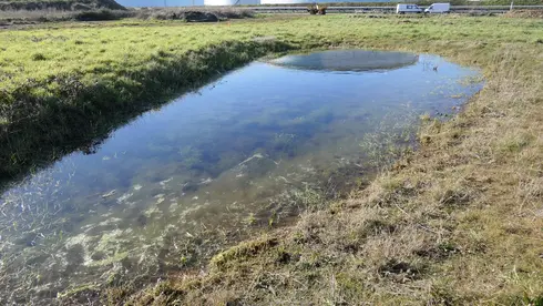 mare créée dans le cadre des travaux de compensation environnementale