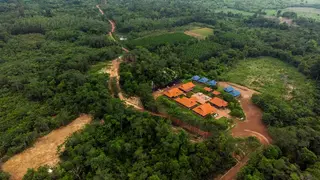 TotalEnergies Invests in Sustainable Forestry in Southeast Asia