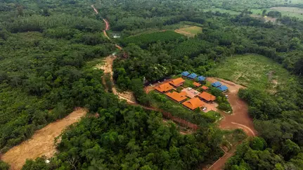 TotalEnergies Invests in Sustainable Forestry in Southeast Asia