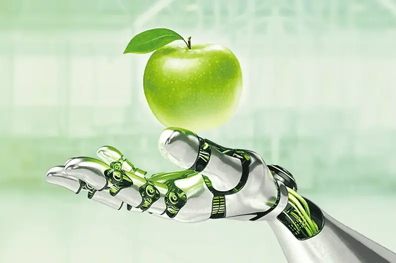 Como escolher os lubrificantes para a indústria alimentícia