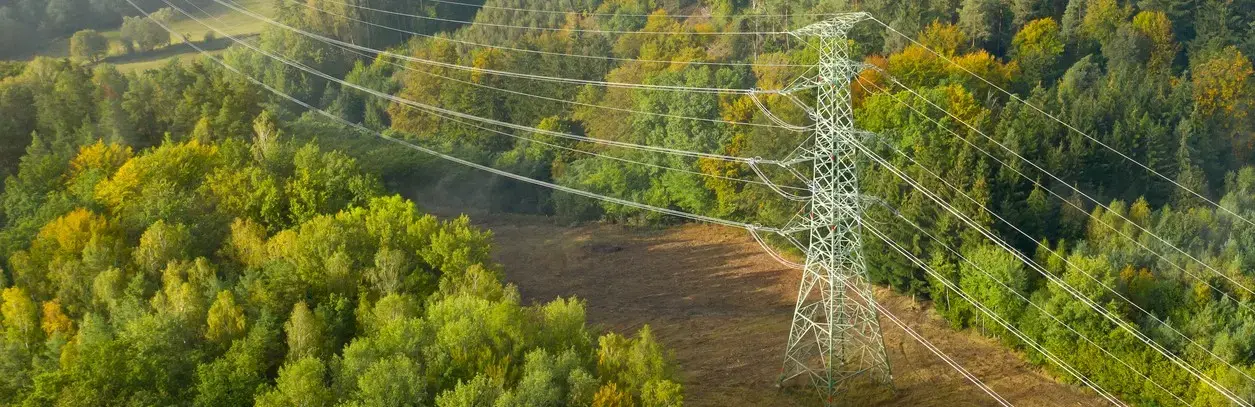 Electricity pylon in a green forest