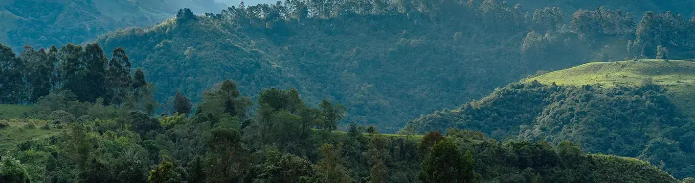 Innovación para el medio ambiente