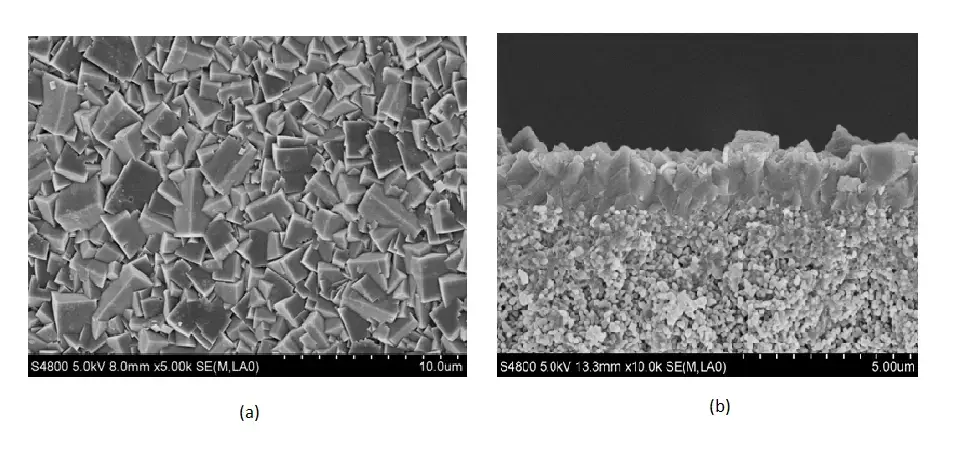 Fig 1. SEM images of SAPO-34 zeolite membrane, (a)top view and (b)cross section view.