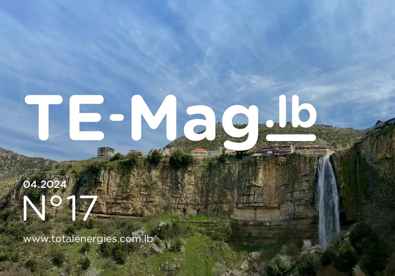 TEmag.lb 17