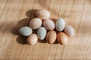 eggs