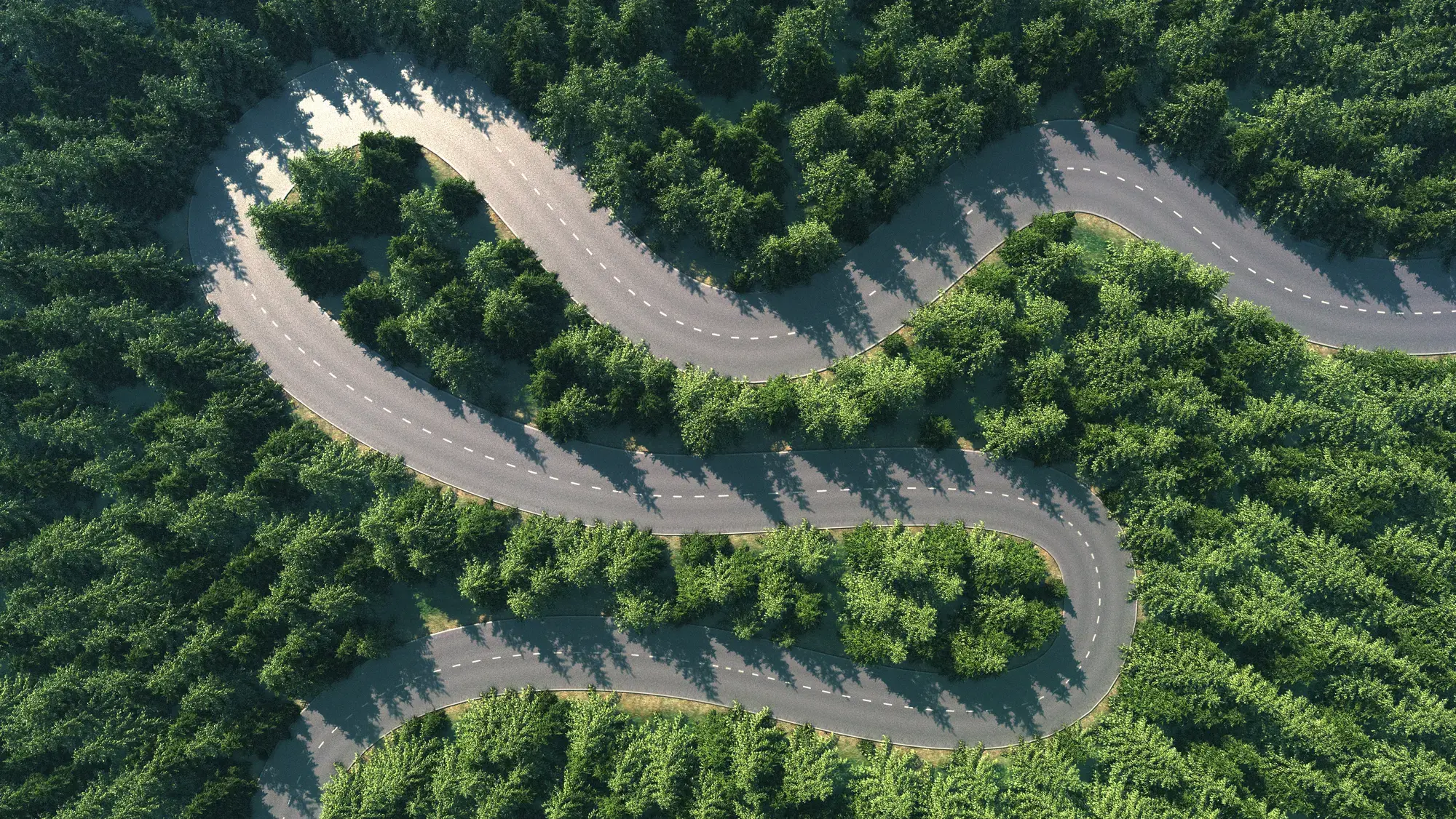 shutterstock_1496352176