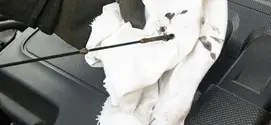 What is the viscosity grade of a motor oil?