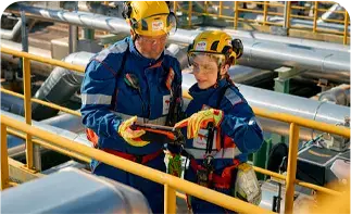 Acompanhamento técnico especializado - Indústria de Açúcar e etanol