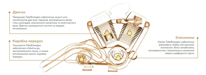 1360x500_HiPerf_Image_12