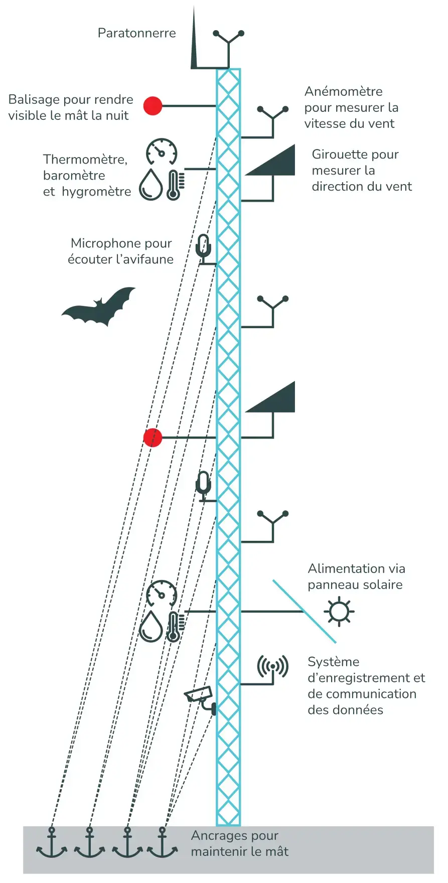 Schéma mas de mesure