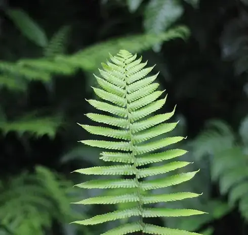 道達爾能源集團品牌