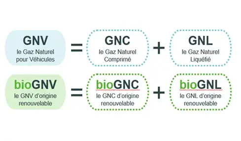 GNV
