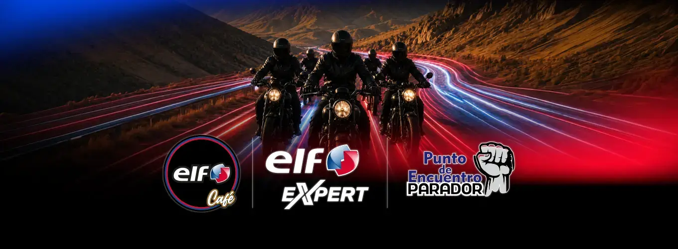 ELF Expert aceite de moto