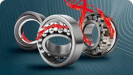 MULTIS / MULTIS COMPLEX