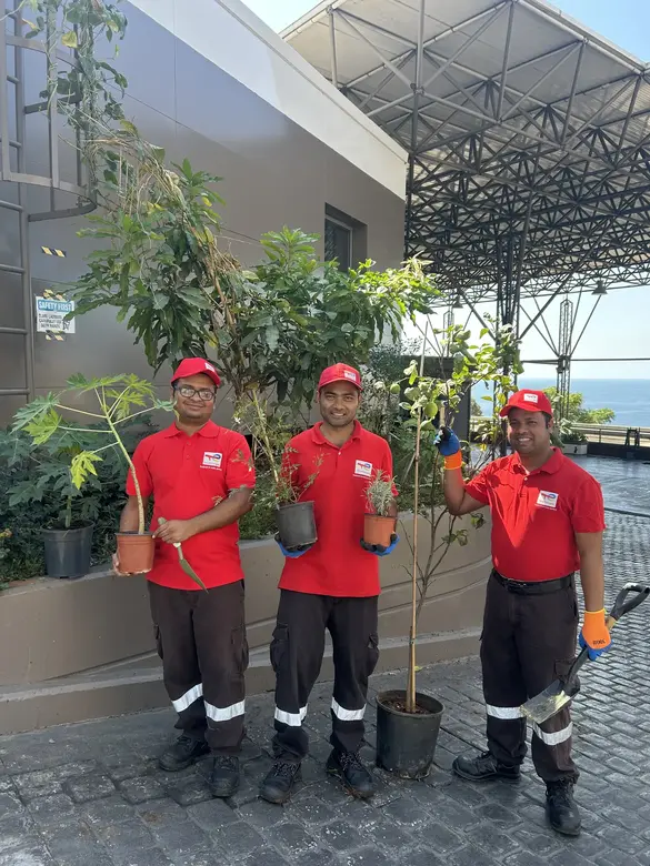 Plantation Project 2025