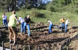 Mare construction