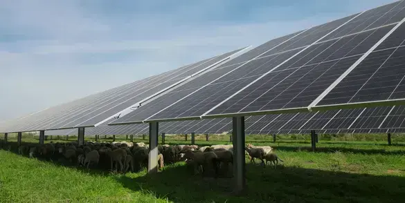 Placas fotovoltaicas instaladas sobre césped