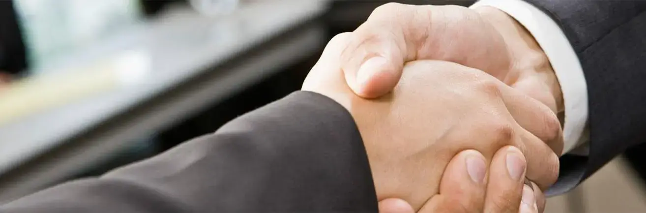 Detail podání rukou