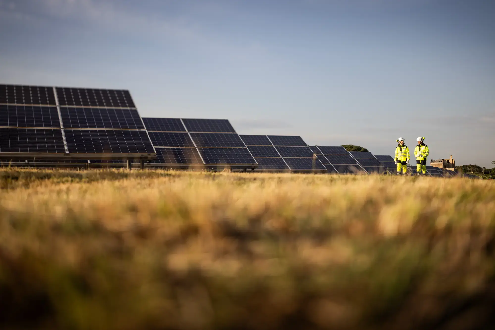 TotalEnergies Renewables Services Italia srl Solar Field, Italy