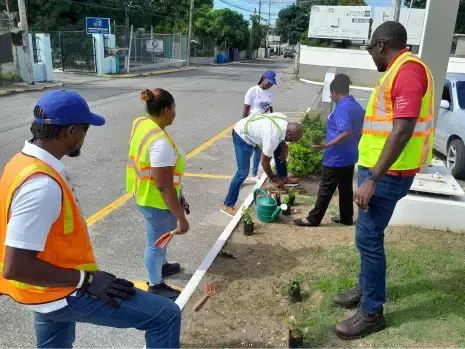 social responsability jamaica