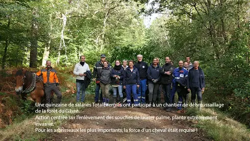 Salariés participant à l'opération de nettoyage