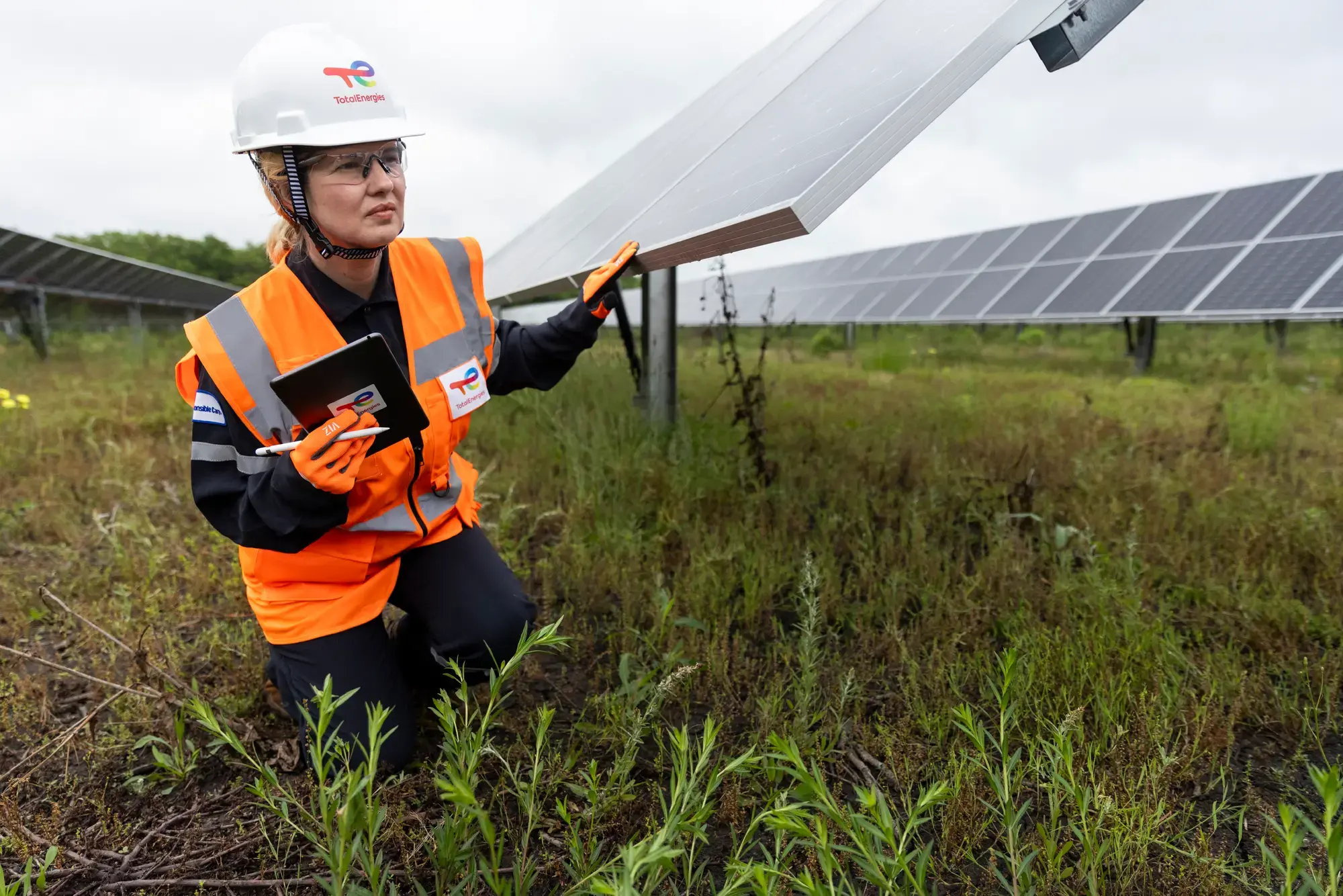 Cottonwood Solar Farm (Texas, USA)