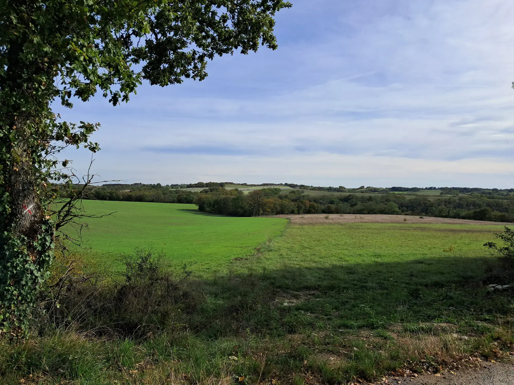 Phomontage 6 du projet agrivoltaïque Combe Cave