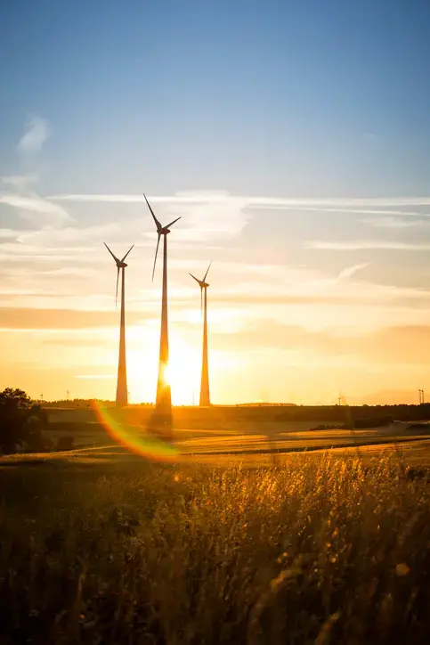 istock-545635836 (1)