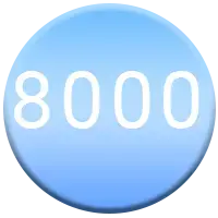 8000