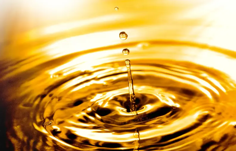 adobestock_198604699