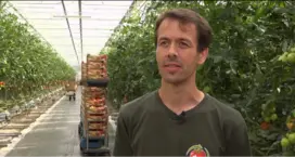 wim-pijl.png