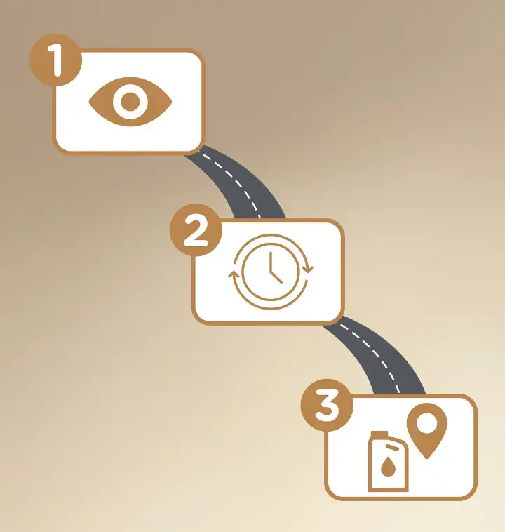 hi-perf loyalty tool visual (3)