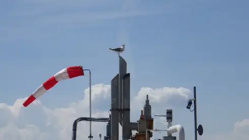 Sustainab'all day feyzin 2025