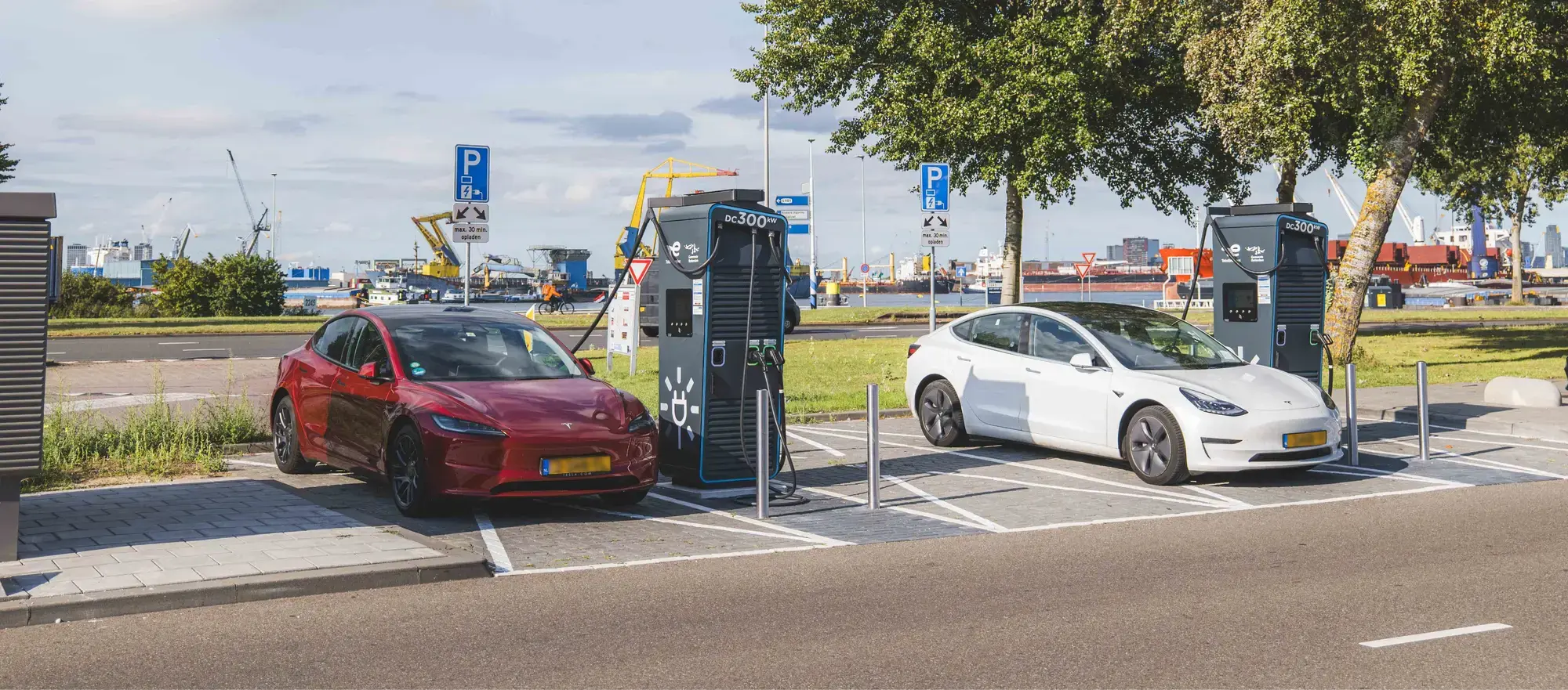 snelladers rotterdamse haven final.png 2