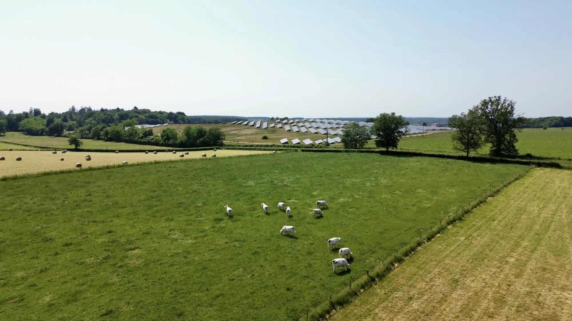 2023-06-03 totalénergies _ centrale solaire de saint-aubin-en-charollais - 8 (1)